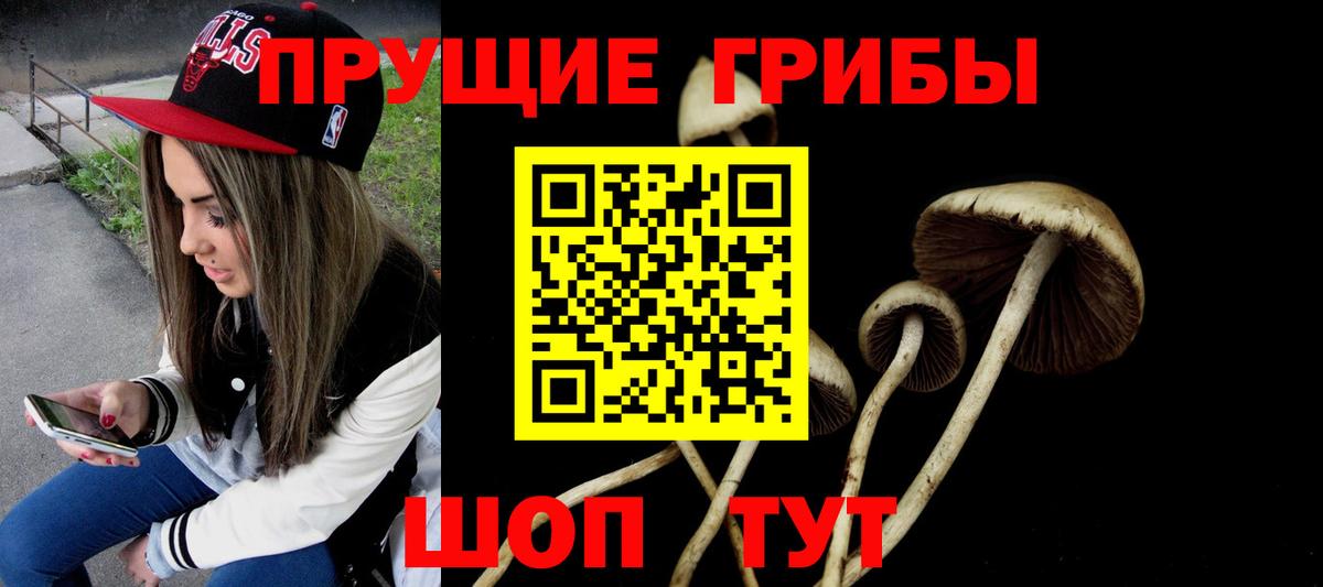Саяногорск  Псилоцибиновые грибы мухоморы  Вход с VPN 
